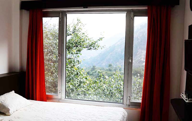 a view from inside of the room's window